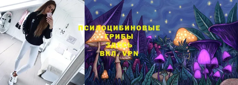 hydra онион  Дрезна  Галлюциногенные грибы Cubensis 